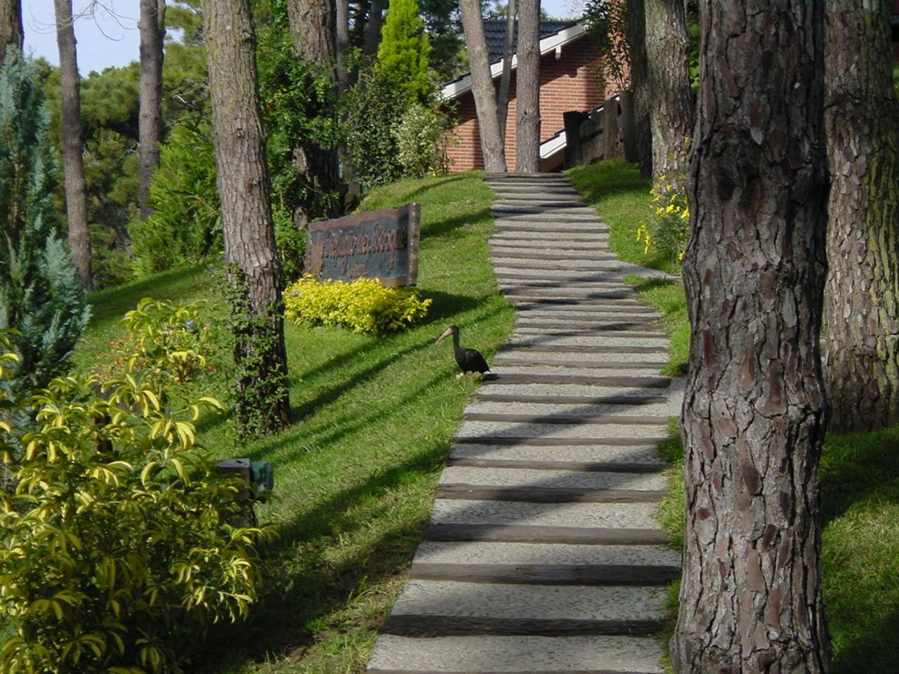 Refugio Del Bosque Villa Carilo Exterior foto