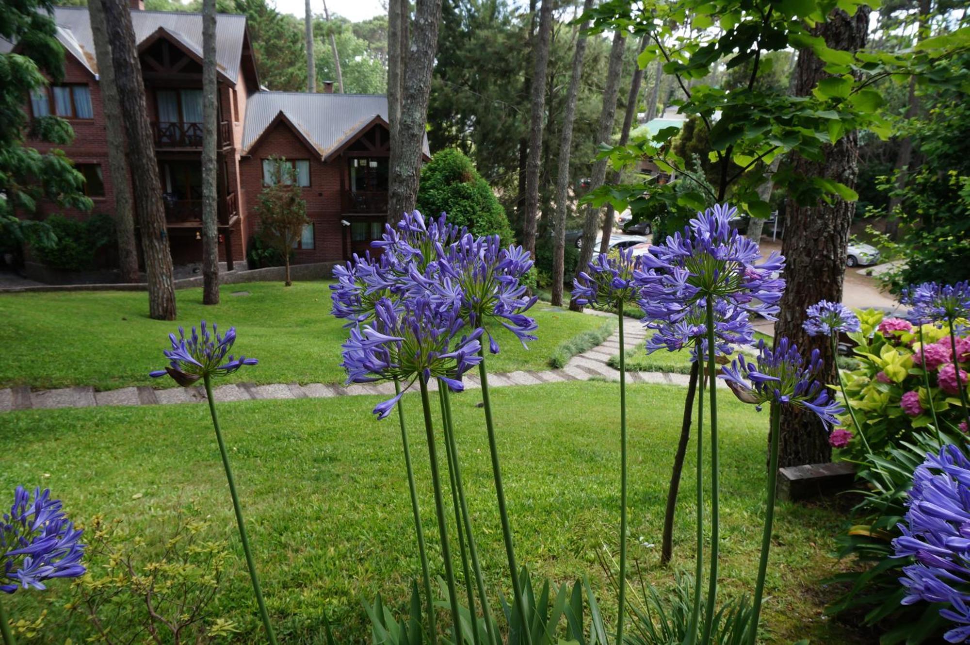 Refugio Del Bosque Villa Carilo Exterior foto